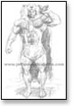 Hercules in lion skin with club