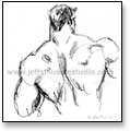 loose sketch of muscular back