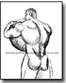 muslceman lifting big stone