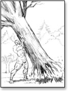 strongman pulling tree from ground