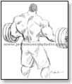 wide v back of muscleman doing curls