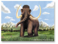 Mammoth painting